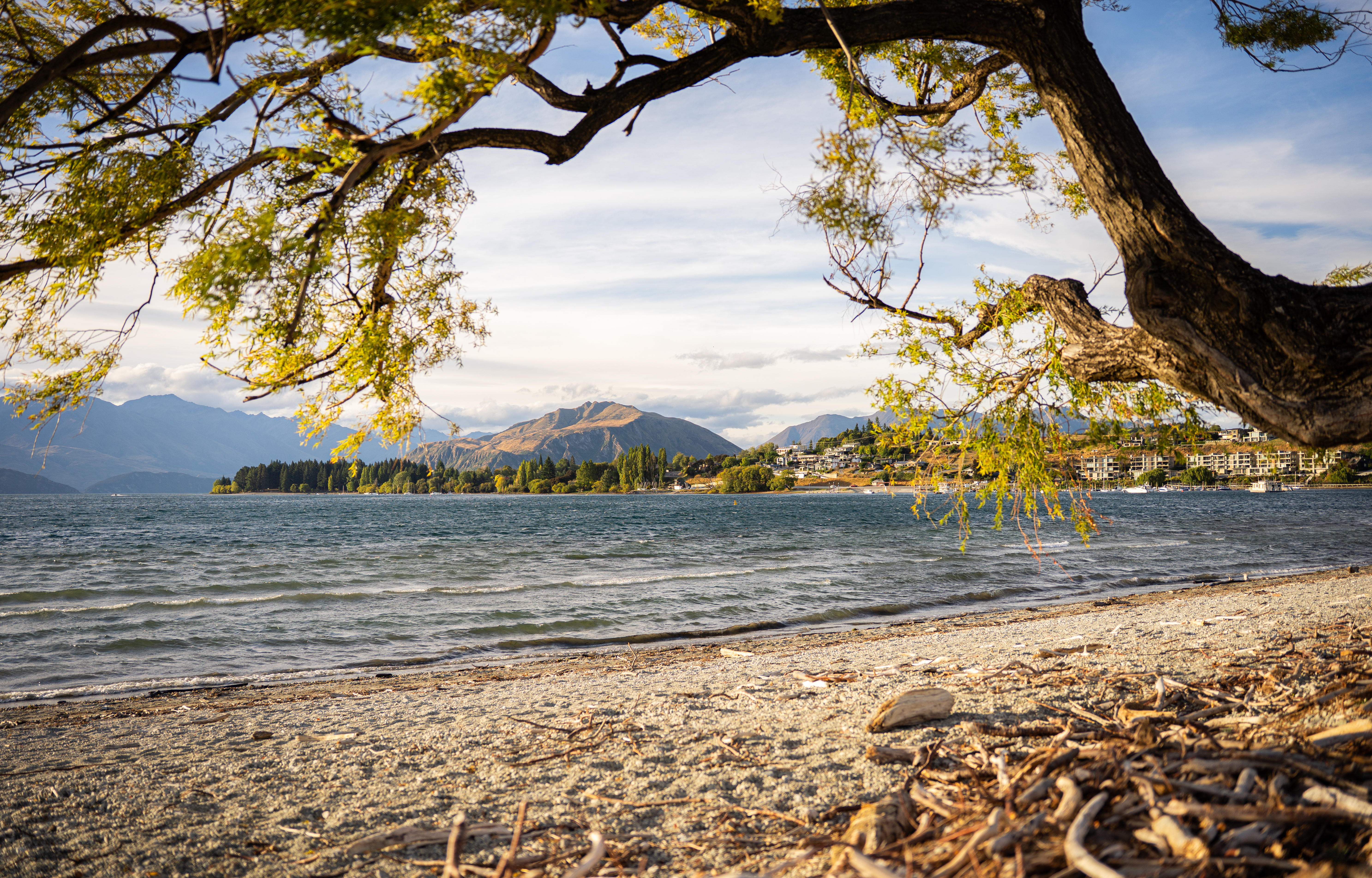 Wanaka Station Park